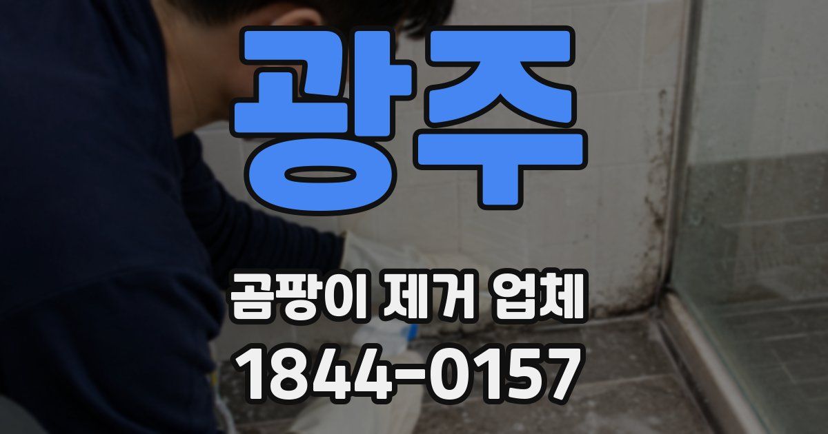 광주 곰팡이 제거 업체
