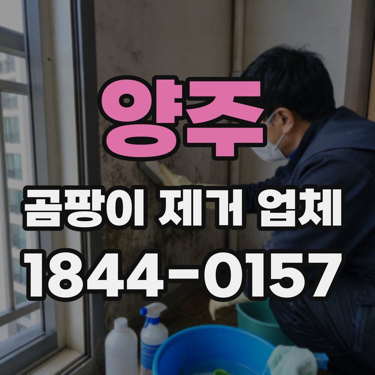 양주 곰팡이 제거 업체 비교할 때 후기와 견적 보는 순서