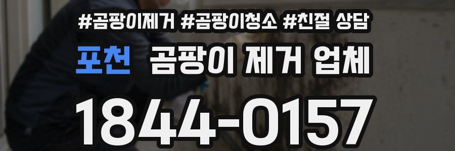 포천 곰팡이 제거 업체