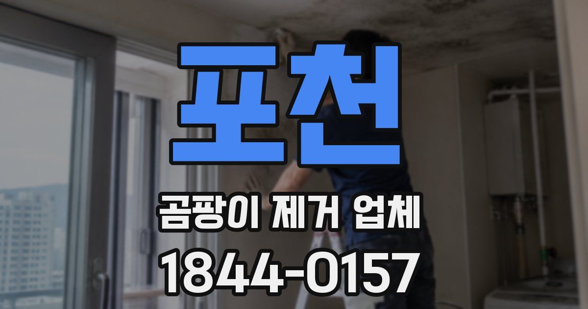 포천 곰팡이 제거 업체