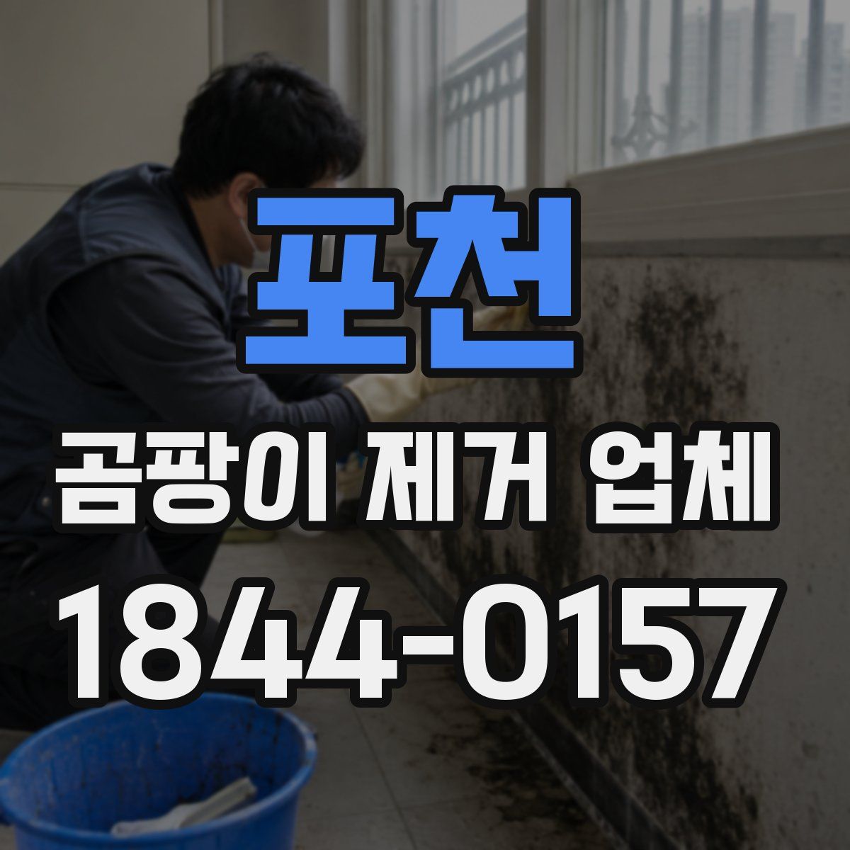 포천 곰팡이 제거 업체