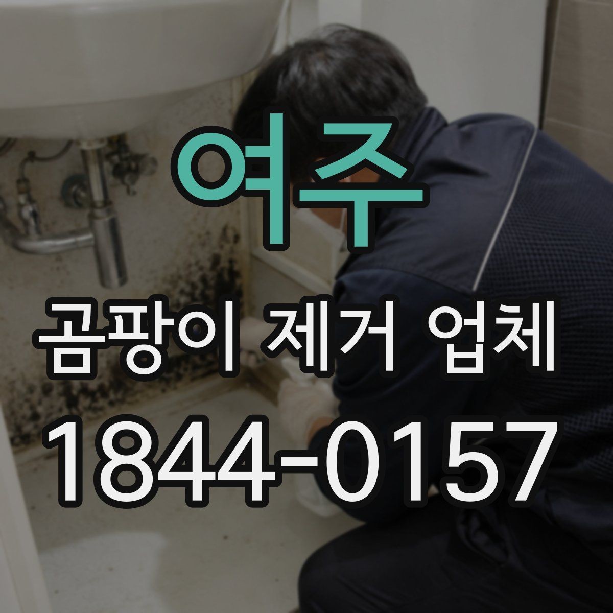 여주 곰팡이 제거 업체 후기 볼 때 체크할 항목