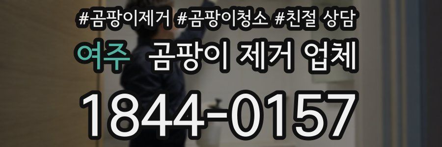 여주 곰팡이 제거 업체