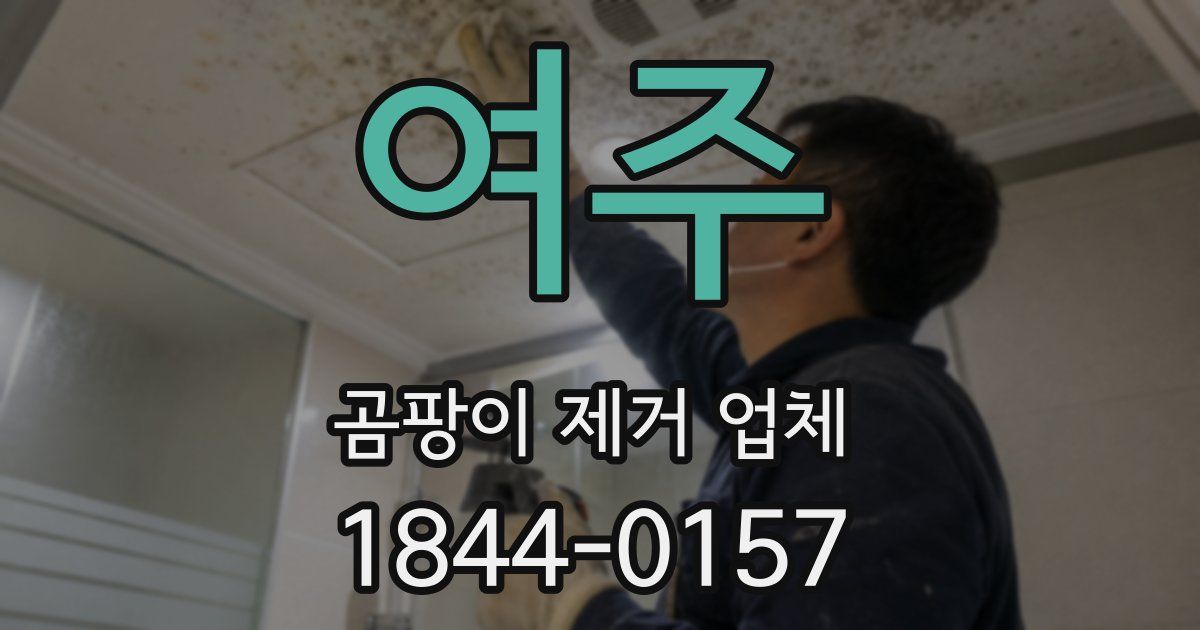 여주 곰팡이 제거 업체