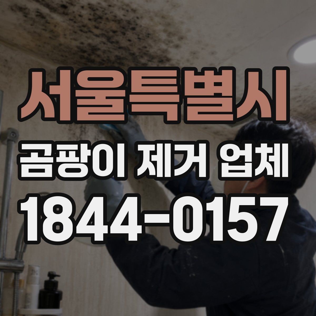 서울특별시 곰팡이 제거 업체 비용 상담 시 물어볼 질문