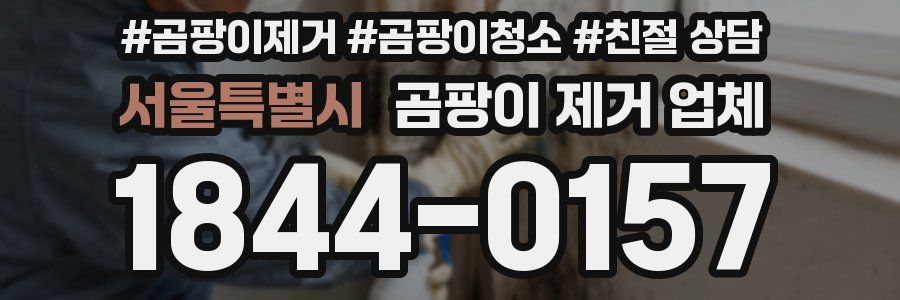 서울특별시 곰팡이 제거 업체