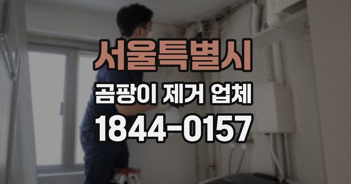 서울특별시 곰팡이 제거 업체