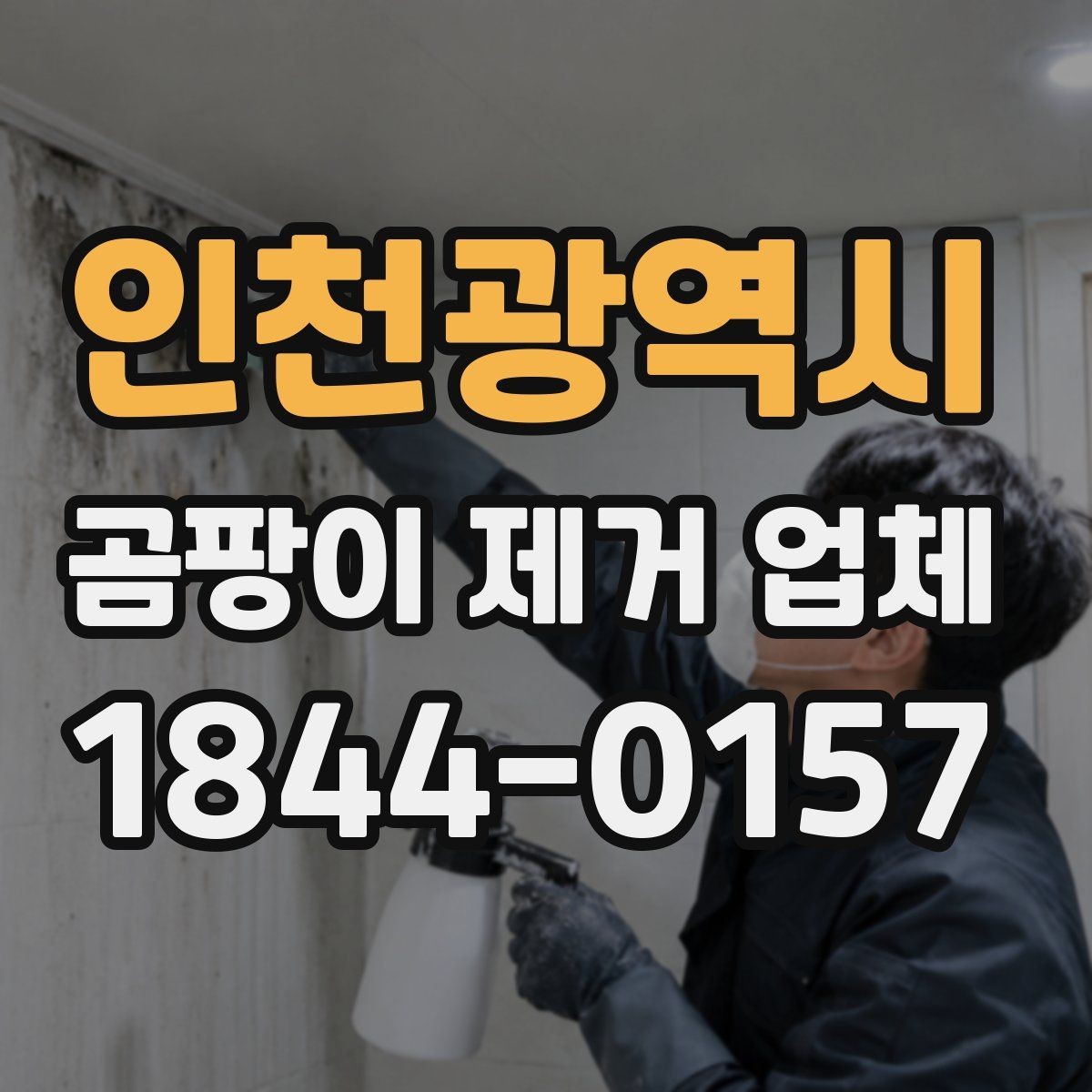 인천광역시 곰팡이 제거 업체 선택 전 확인할 기준