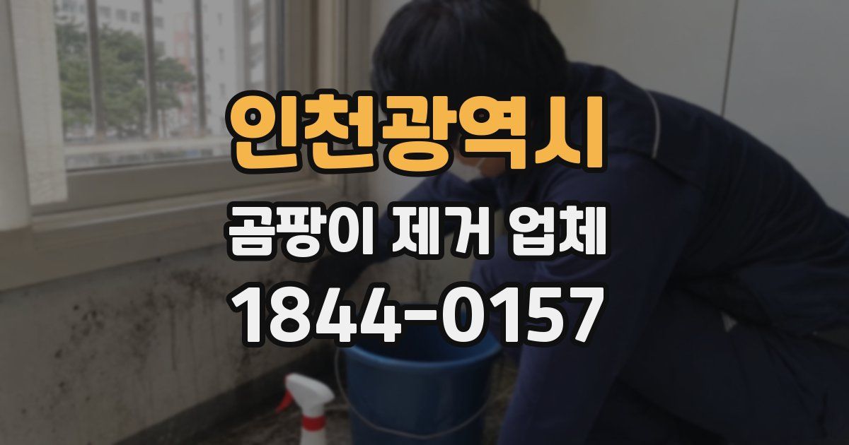 인천광역시 곰팡이 제거 업체