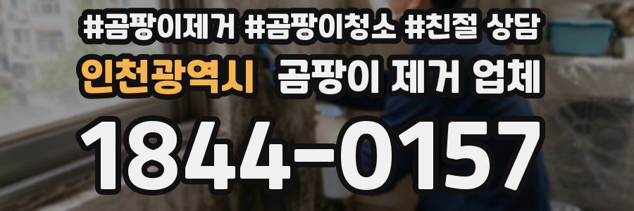 인천광역시 곰팡이 제거 업체