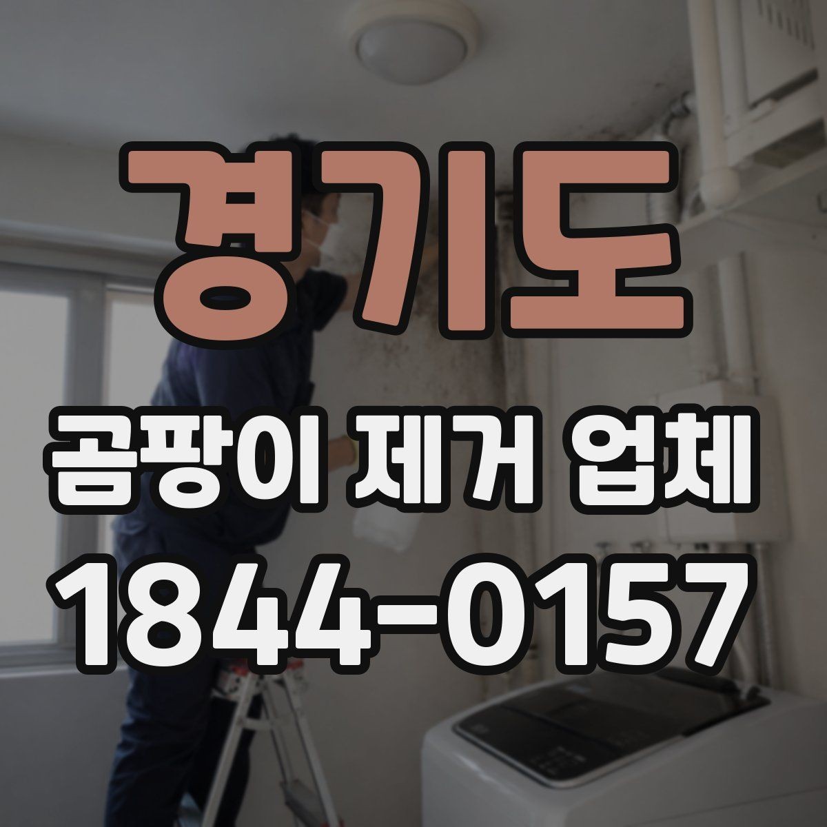 경기도 곰팡이 제거 업체 작업 후 환기 시간은 얼마나 필요할까