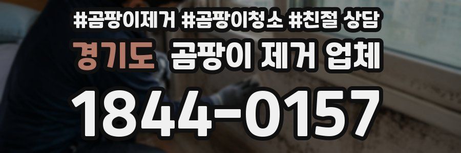 경기도 곰팡이 제거 업체