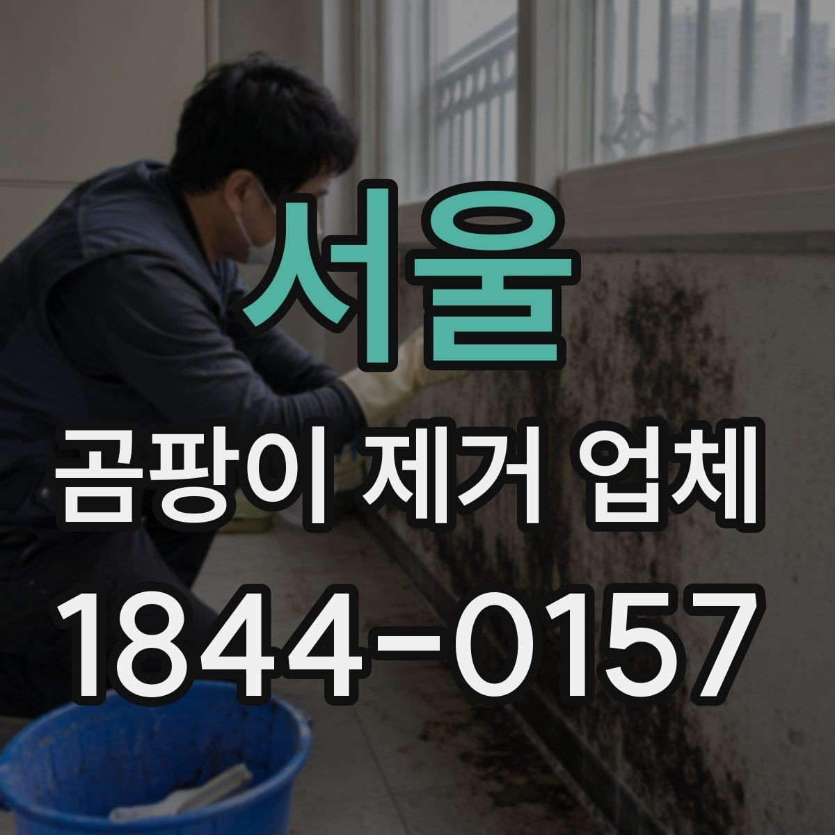서울 곰팡이 제거 업체 상담 전에 알아둘 사항
