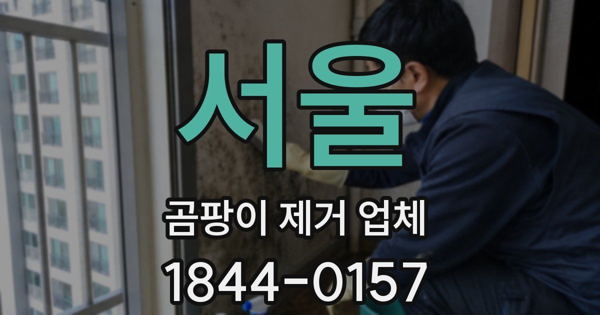 서울 곰팡이 제거 업체