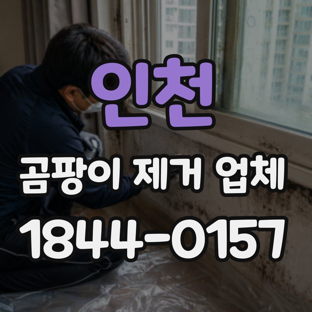 인천 곰팡이 제거 업체 이용 전 확인하면 좋은 계약 내용