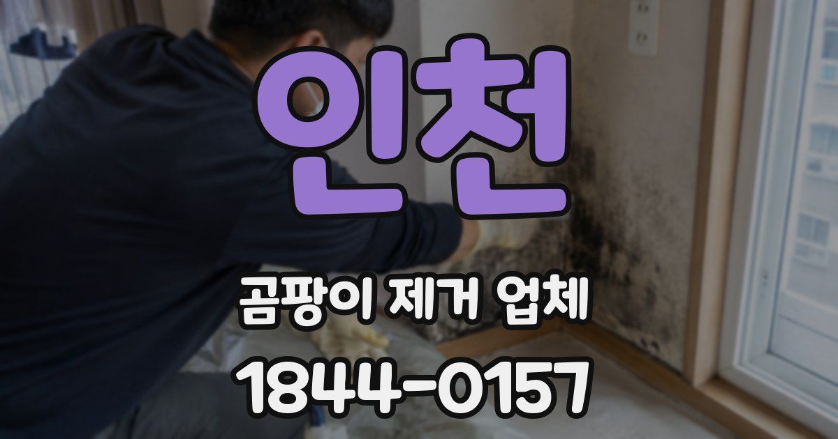 인천 곰팡이 제거 업체