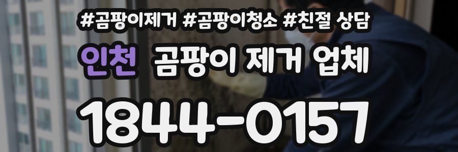 인천 곰팡이 제거 업체