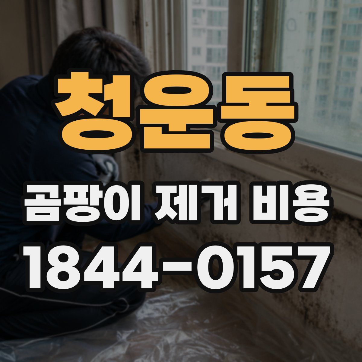 청운동 곰팡이 제거 비용