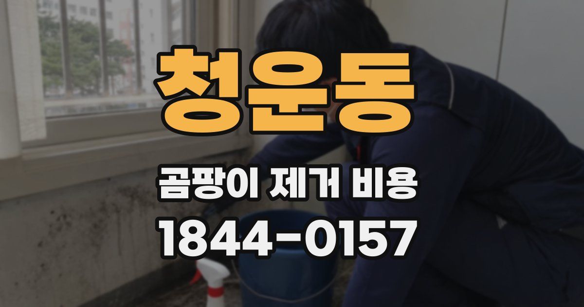 청운동 곰팡이 제거 비용