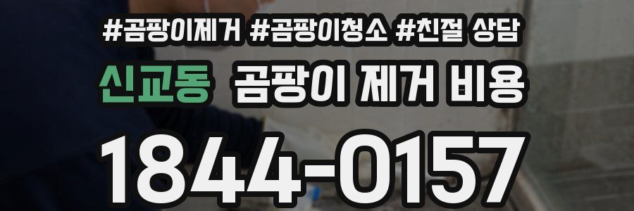 신교동 곰팡이 제거 비용