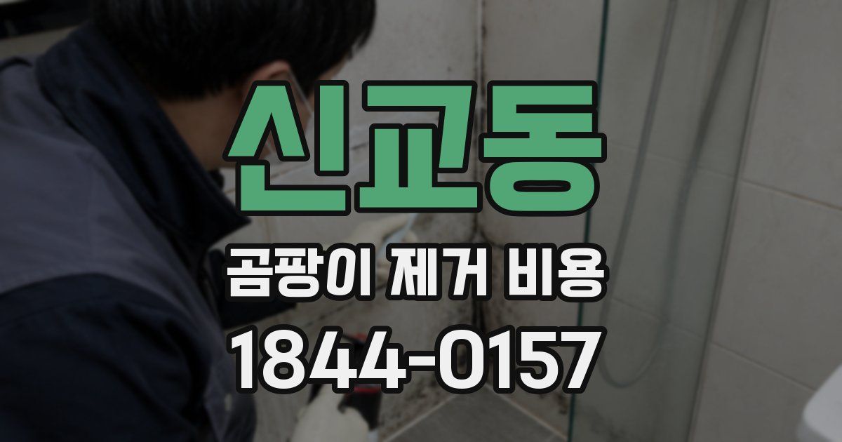 신교동 곰팡이 제거 비용