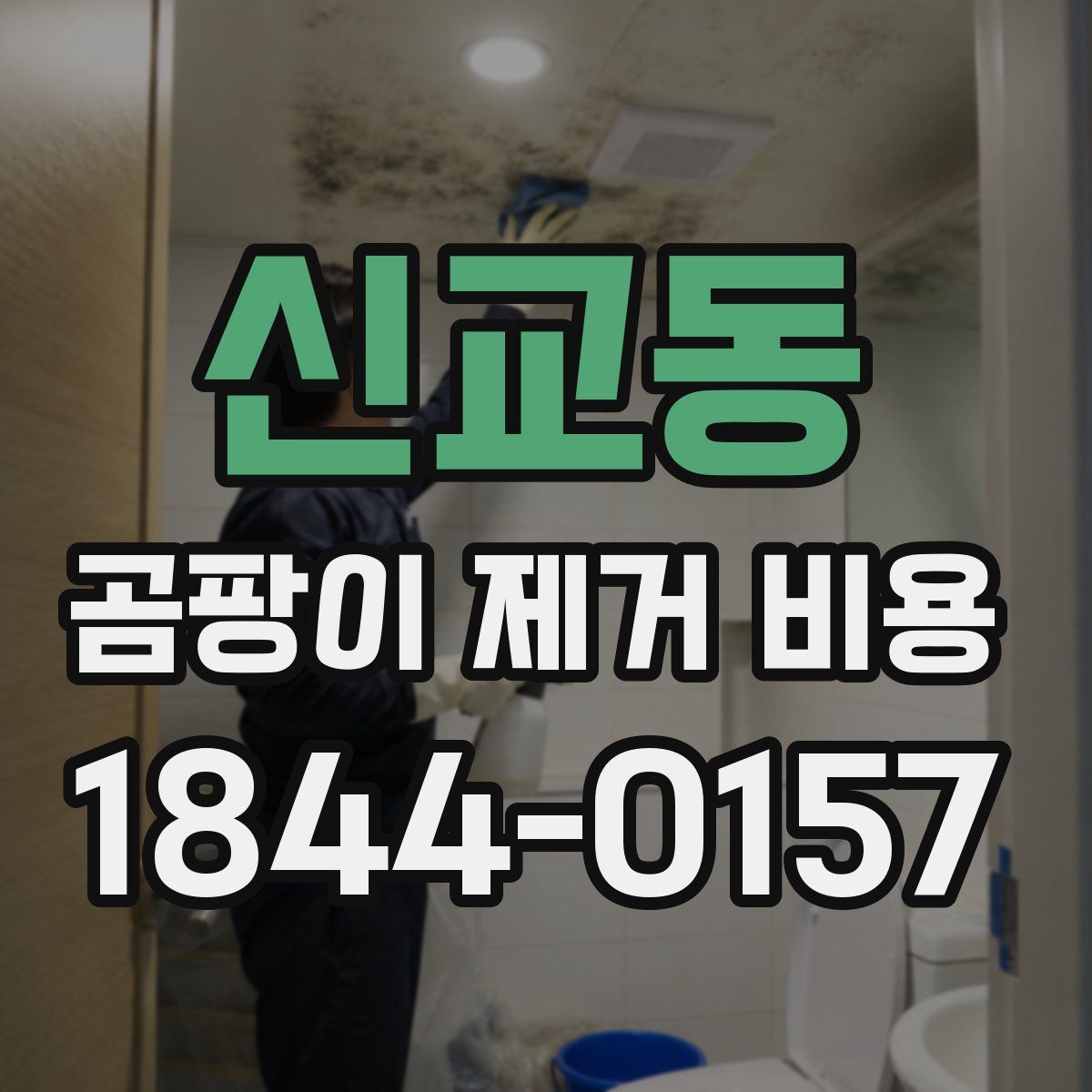 신교동 곰팡이 제거 비용