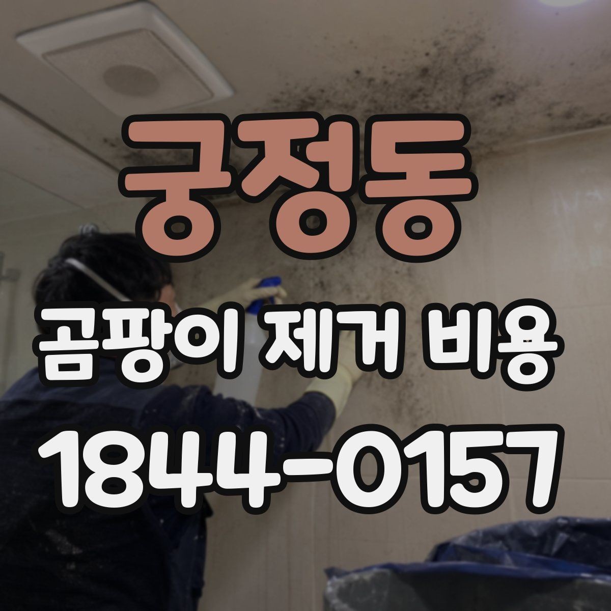 궁정동 곰팡이 제거 비용 산정에 자주 포함되는 보수 항목