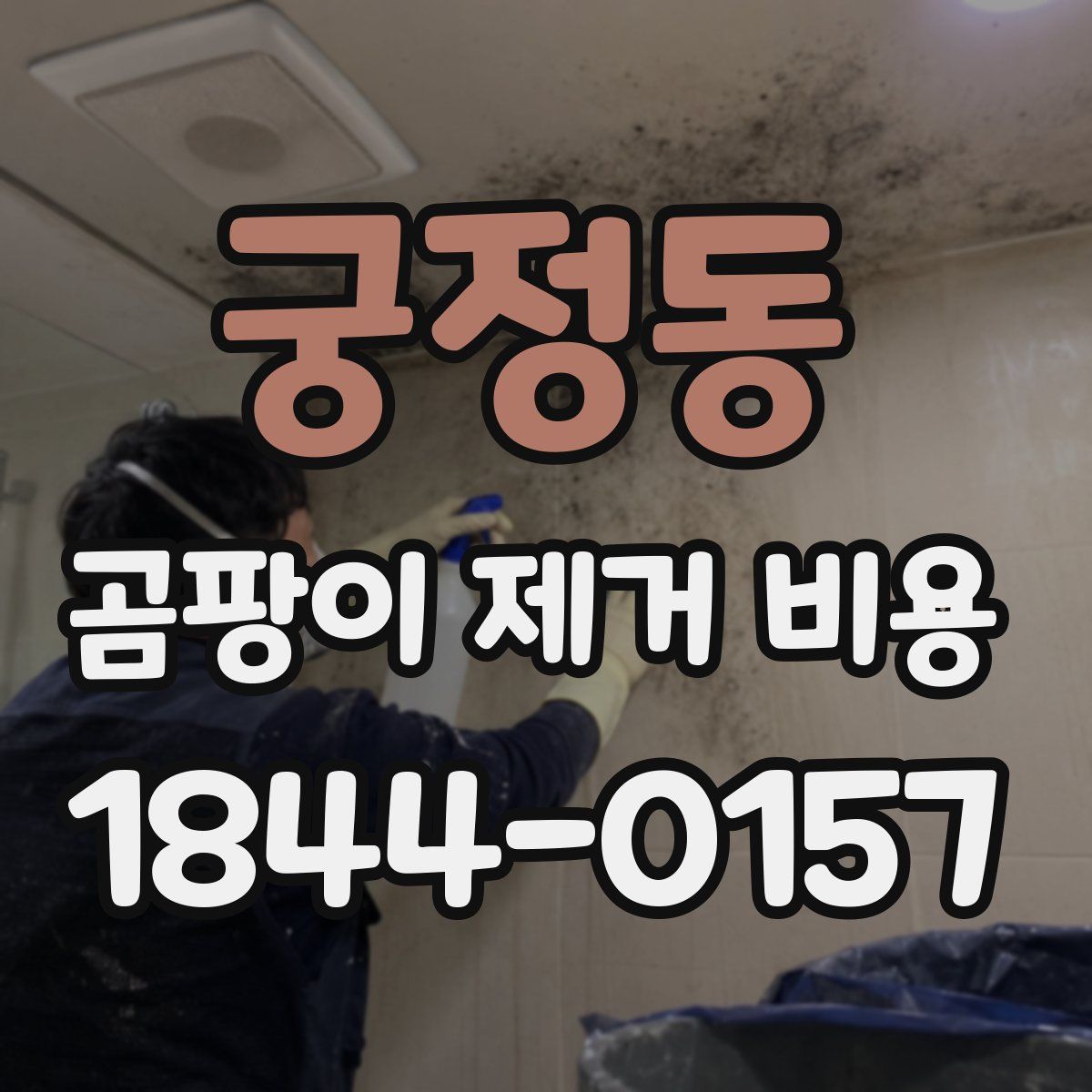 궁정동 곰팡이 제거 비용