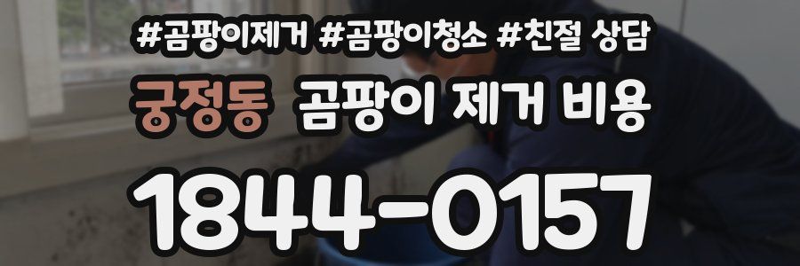 궁정동 곰팡이 제거 비용