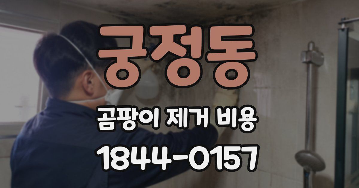 궁정동 곰팡이 제거 비용