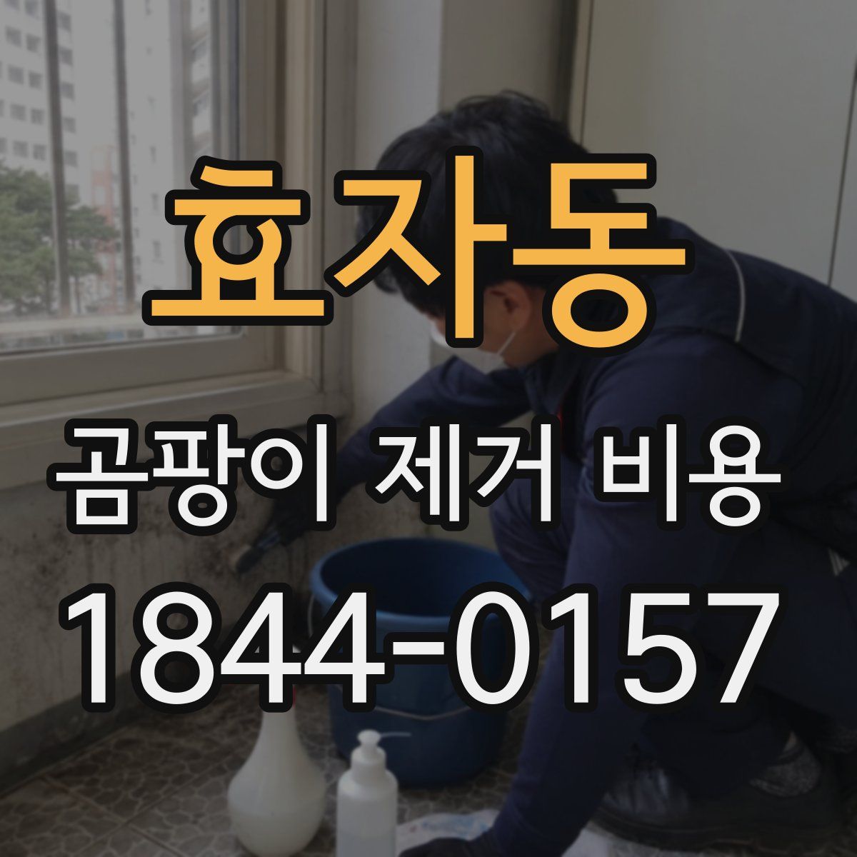 효자동 곰팡이 제거 비용