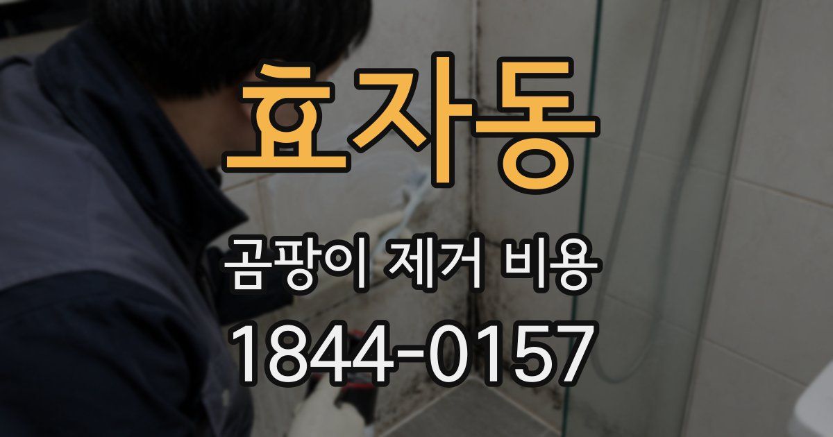 효자동 곰팡이 제거 비용