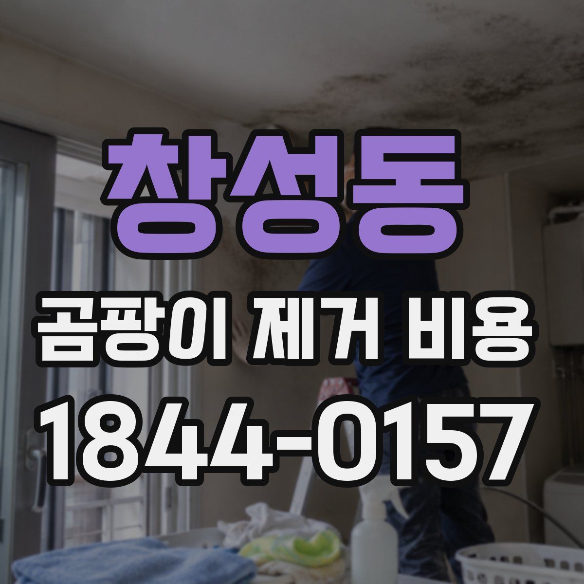 창성동 곰팡이 제거 비용