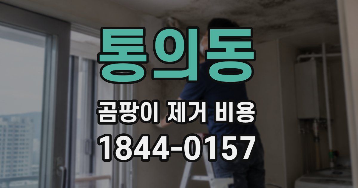 통의동 곰팡이 제거 비용