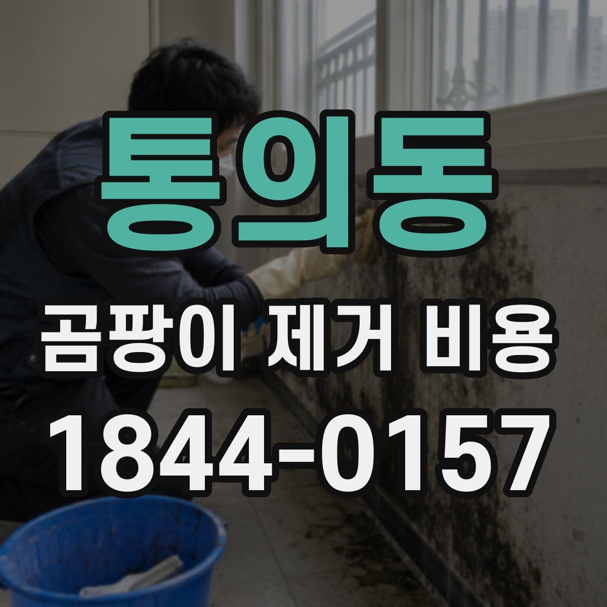 통의동 곰팡이 제거 비용