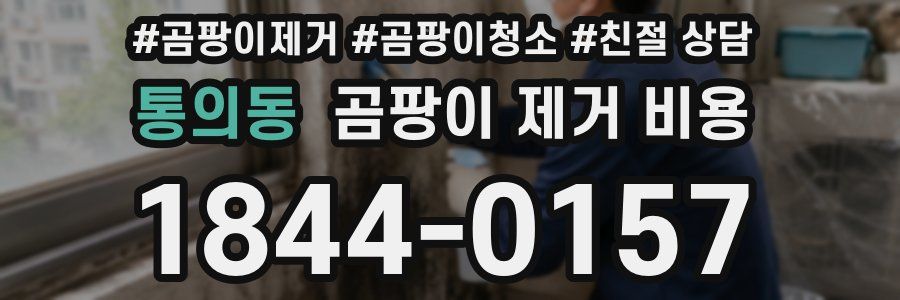 통의동 곰팡이 제거 비용
