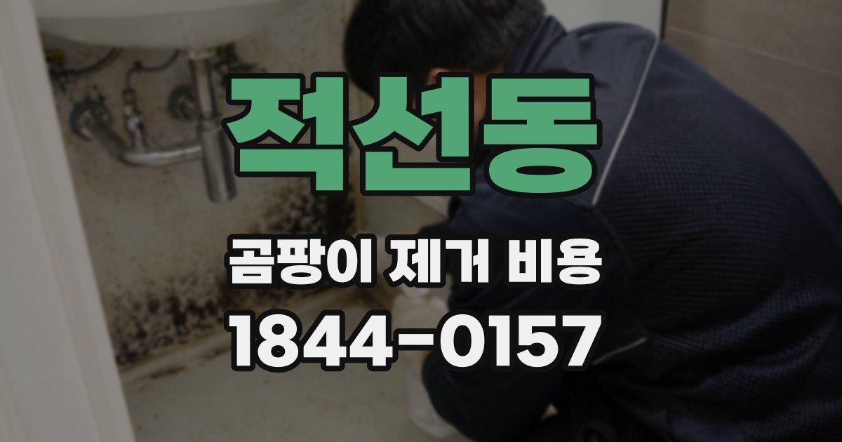 적선동 곰팡이 제거 비용