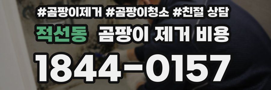 적선동 곰팡이 제거 비용