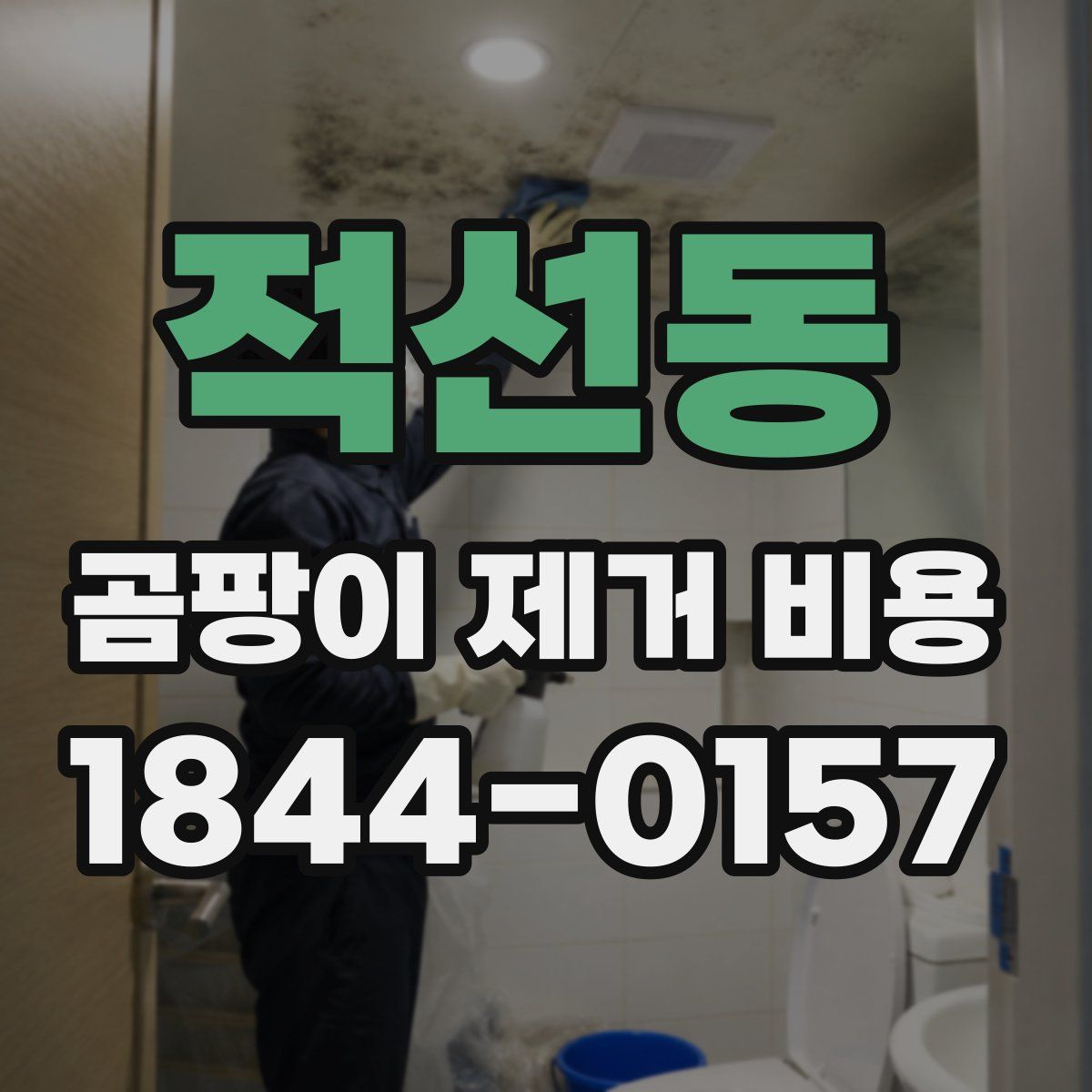 적선동 곰팡이 제거 비용