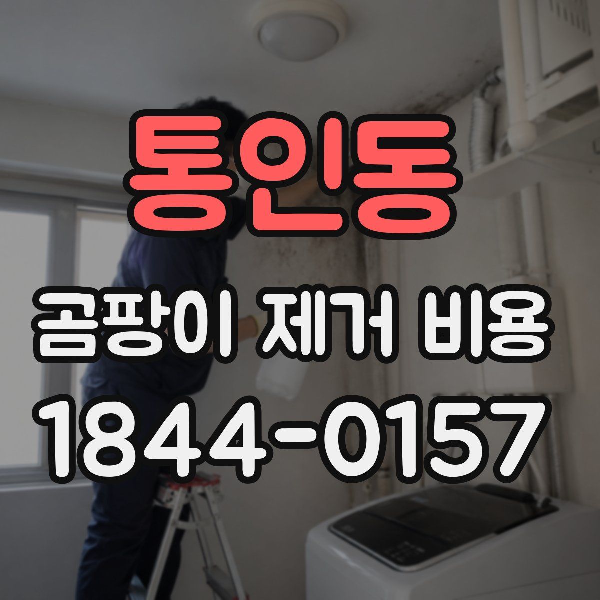 통인동 곰팡이 제거 비용