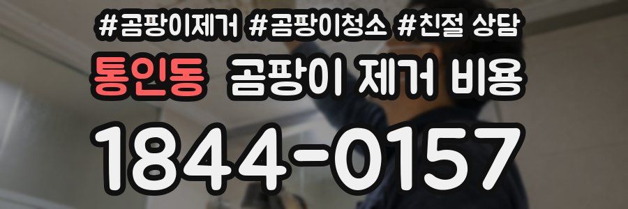 통인동 곰팡이 제거 비용