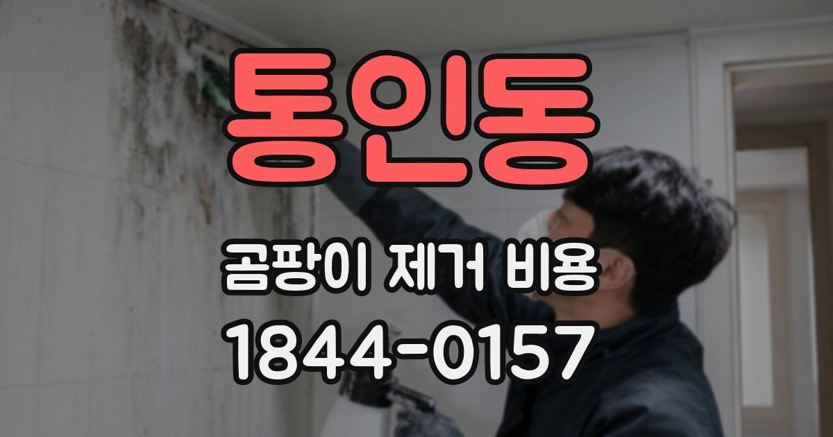 통인동 곰팡이 제거 비용