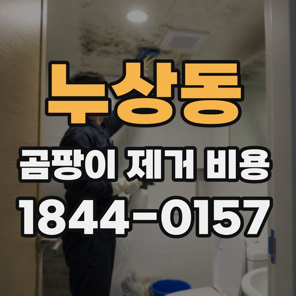 누상동 곰팡이 제거 비용