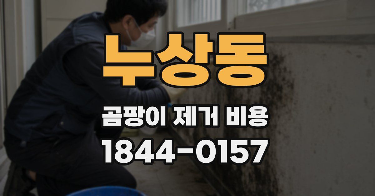 누상동 곰팡이 제거 비용