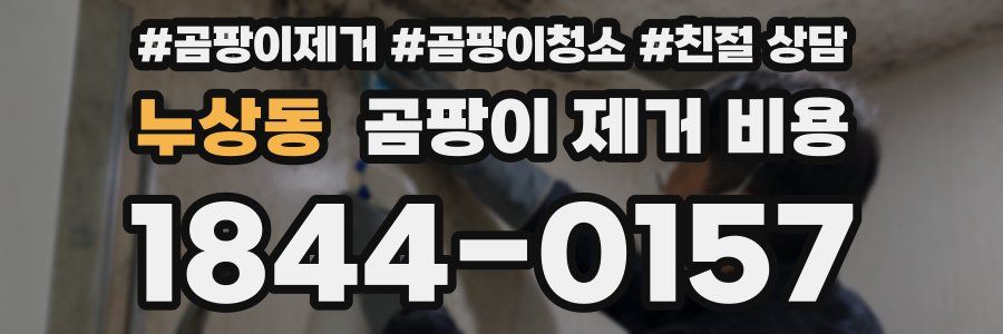누상동 곰팡이 제거 비용