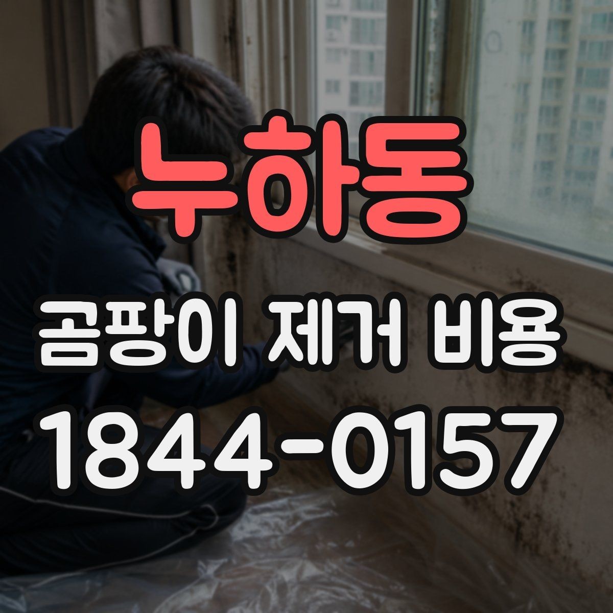 누하동 곰팡이 제거 비용 알아볼 때 사진이 중요한 이유