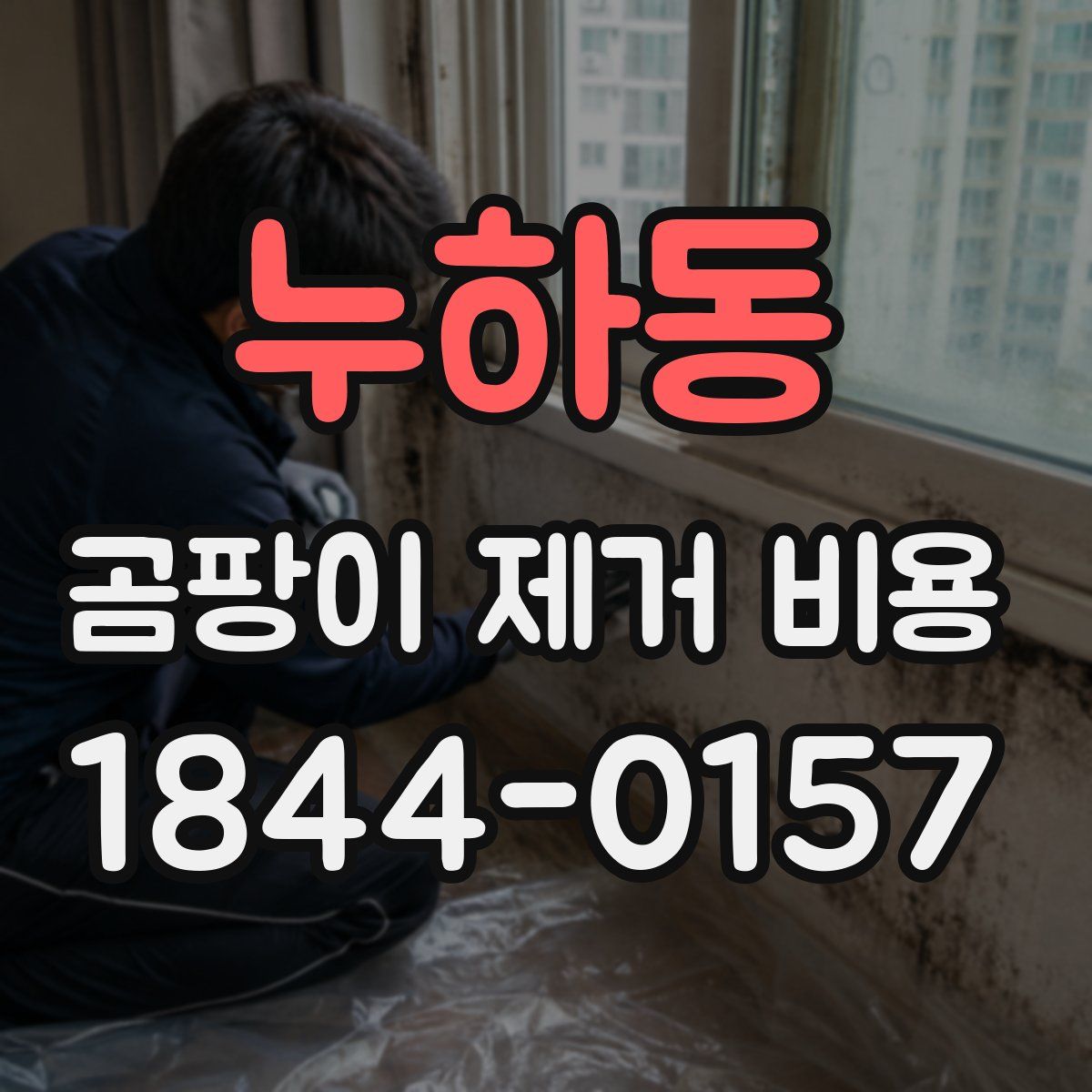 누하동 곰팡이 제거 비용