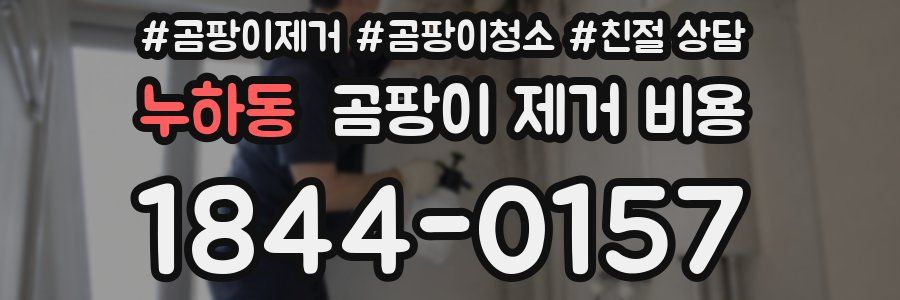 누하동 곰팡이 제거 비용