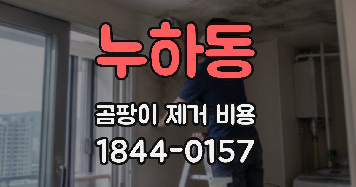 누하동 곰팡이 제거 비용