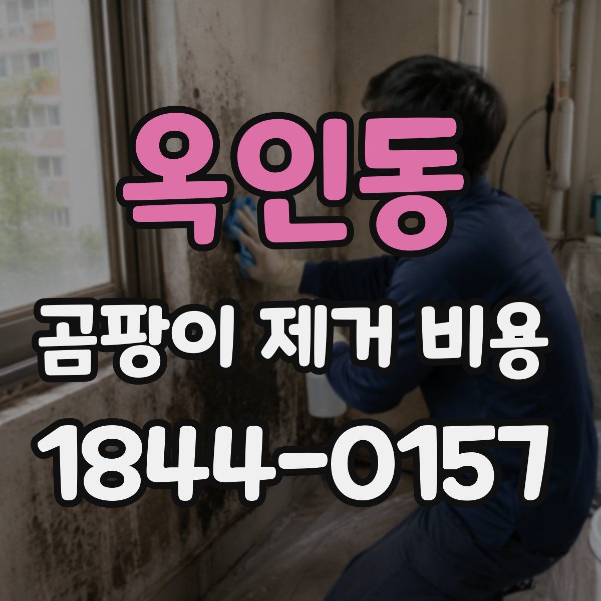 옥인동 곰팡이 제거 비용